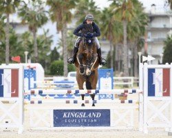 jumper Pac Man Tw (Oldenburg show jumper, 2014, from Cantolar)