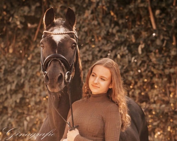 stallion Mariano (German Riding Pony, 1997, from FS Maracaibo)