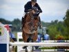 jumper Queen La Balou (Oldenburg show jumper, 2009, from Quintender 2)