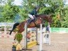 jumper Kadira 5 (German Sport Horse, 2018, from Canoso)