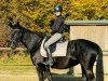 dressage horse Samba (Westphalian, 2017, from Sir Heinrich OLD)