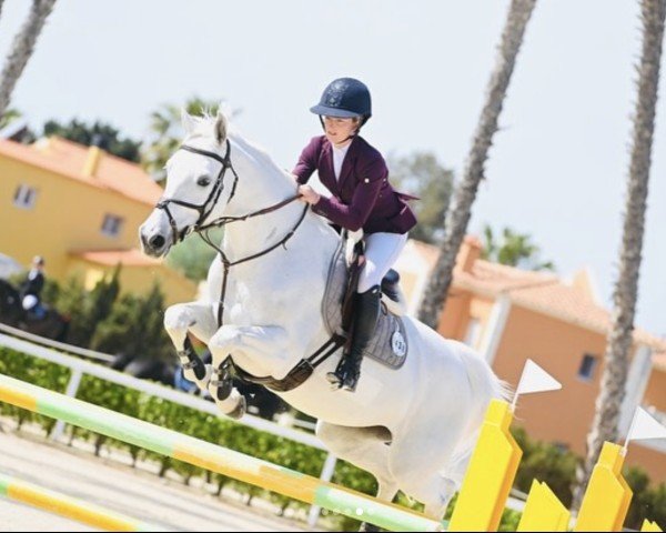 jumper Fabienne (KWPN (Royal Dutch Sporthorse), 2010, from V.Alba R)