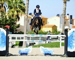 jumper Haitske (KWPN (Royal Dutch Sporthorse), 2012, from Glasgow van het Merelsnest)