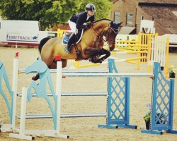 jumper Cybel II (Irish Sport Horse, 2008)