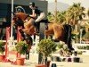 jumper Good Limit (KWPN (Royal Dutch Sporthorse), 2011, from Spartacus TN)