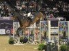 jumper Wilando B (KWPN (Royal Dutch Sporthorse), 2003, from Oklund)