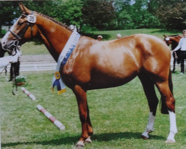 broodmare Prima Vera (Bavarian, 1988, from Poseidon)