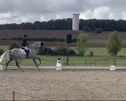 dressage horse Dance on Top 5 (unknown, 2018)