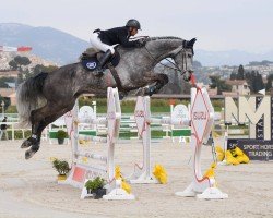 jumper Black de L'Abbaye (Selle Français, 2011, from Ugano Sitte)