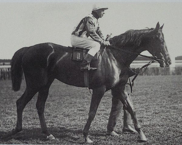 broodmare Fabula xx (Thoroughbred, 1904, from Hannibal xx)