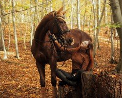 dressage horse Daylight 326 (German Sport Horse, 2016, from Damon Cello)