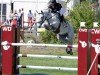 jumper Vaughann de Vuzit (Connemara Pony, 2009, from Dexter Leam Pondi)