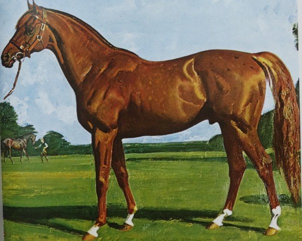 stallion Hyperion xx (Thoroughbred, 1930, from Gainsborough xx)