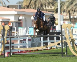 jumper Lenna Z (Zangersheide riding horse, 2007, from Lord Z)