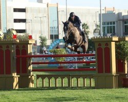 jumper Trig Happy Wind van het Eikenhof (Belgian Warmblood, 2008, from Cupido van het Elkenhof)