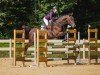 jumper Comme Convenu (Hanoverian, 2018, from Comme Prevu)