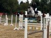 jumper Cookie Aj (Hanoverian, 2015, from Cordess 2)