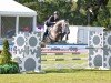 jumper Hotspot 17 (Oldenburg, 2018, from Hickstead White)