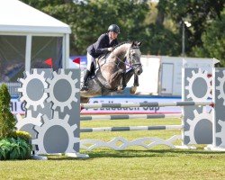 jumper Hotspot 17 (Oldenburg, 2018, from Hickstead White)