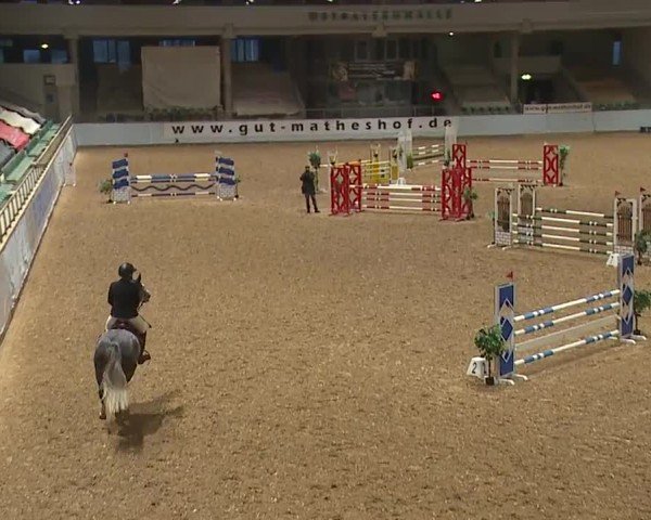 Reitturnier Kreuth/Opf. 2024