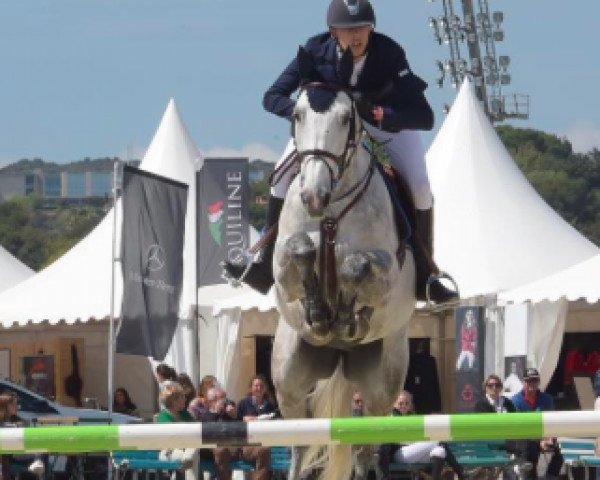 jumper Tenor du Stremberg (Selle Français, 2007, from VDL Cardento 933)