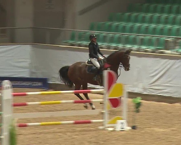 Reitturnier Kreuth/Opf. 2024