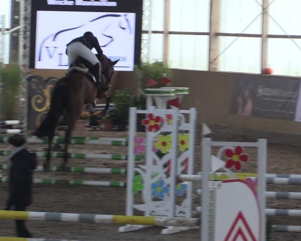 Reitturnier Pausin 2024