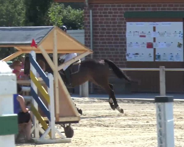 Ennigerloh-Neubeckum 2013