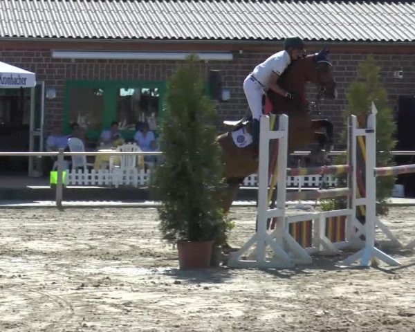 Ennigerloh-Neubeckum 2013