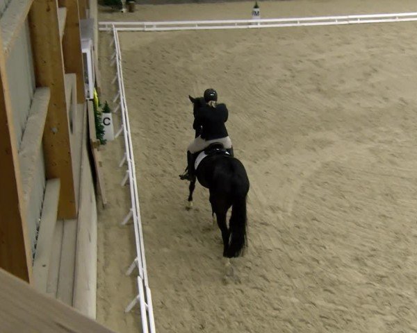 Reitturnier Schaffhausen 2024