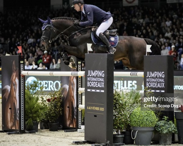 stallion Cornet de Semilly (Oldenburg, 2015, from Cornet Obolensky)