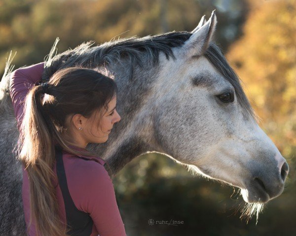 jumper Cini Minnie (German Riding Pony, 2019, from Fs Chiwago)