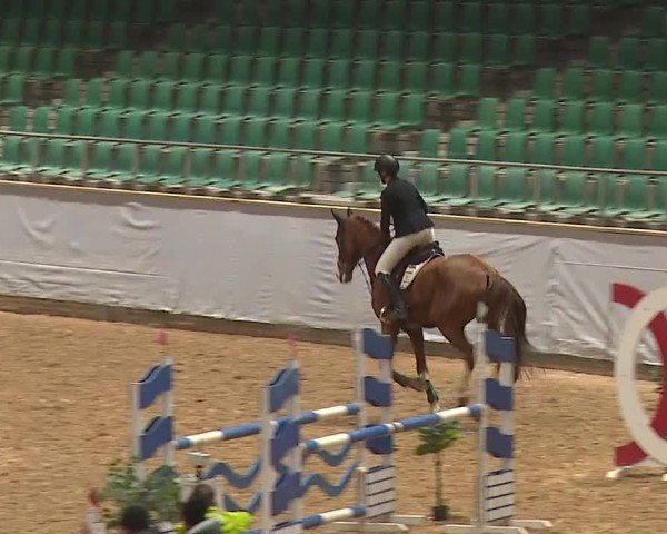 Reitturnier Kreuth/Opf. 2024