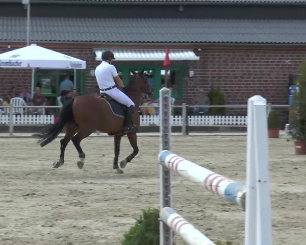 Ennigerloh-Neubeckum 2013