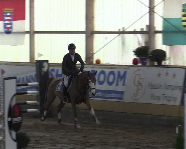 Reitturnier Pausin 2024