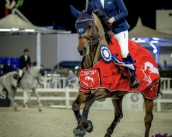 jumper Kanturo Bh (KWPN (Royal Dutch Sporthorse), 2015, from Canturano I)