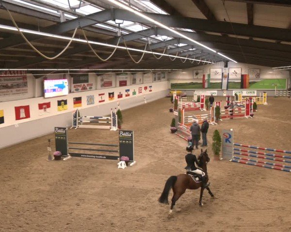Reitturnier Legden | Ponyturnier 2024