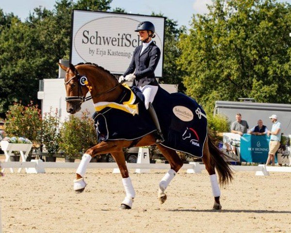 dressage horse Flower 86 (Hanoverian, 2020, from Fürst Toto)