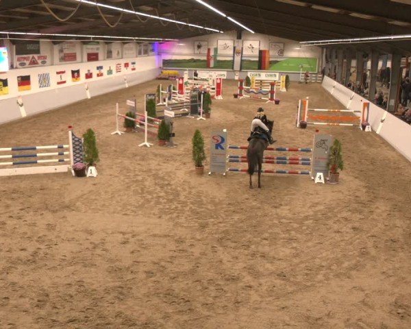 Reitturnier Legden | Ponyturnier 2024