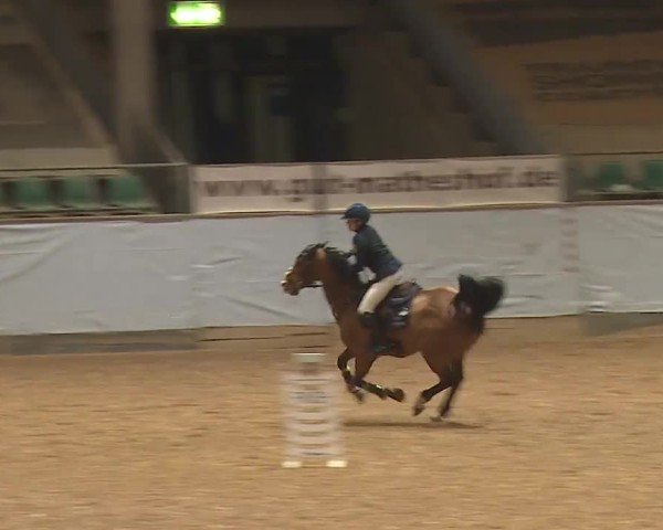 Reitturnier Kreuth/Opf. 2024