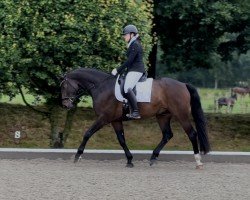 dressage horse Felicion (Hanoverian, 2019, from For Dance)