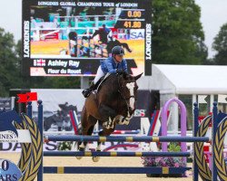 jumper Fleur du Rouet (anglo european sporthorse, 2005, from Balou du Rouet)