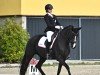 dressage horse Sanibel (Hanoverian, 2006, from Samarant)