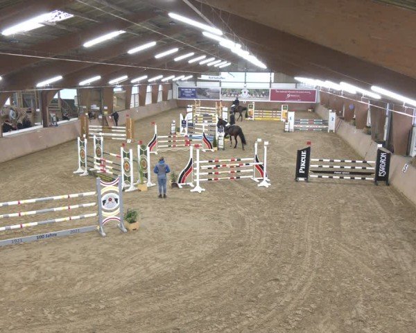 Reitturnier Bad Salzuflen 2024