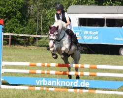 jumper F-Sternchen (German Riding Pony, 2003, from Costa)