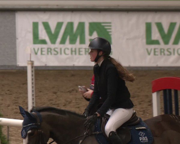 Reitturnier Legden | Ponyturnier 2024