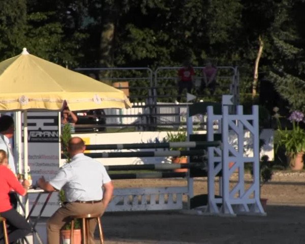 Waltroper Reitertage vom 06.-11.08.2013