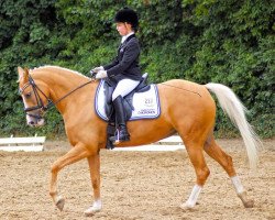 dressage horse La Fee (German Riding Pony, 2003, from Coelenhage's Lord)