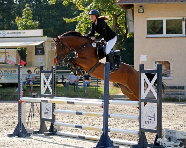 Springpferd Essah (Westfale, 2019, von Eldorado vd Zeshoek Tn)