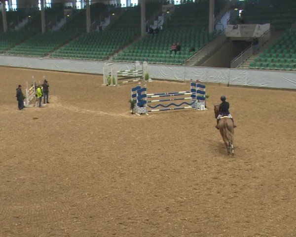 Reitturnier Kreuth/Opf. 2024